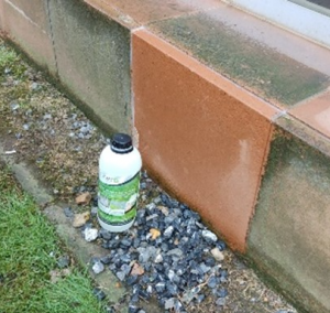 Moos auf Gartenabgrenzung