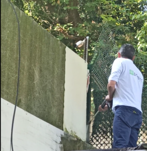 Extremer Moosbesatz auf Gartenmauer