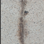 Feuchtigkeitsschäden an Fugen