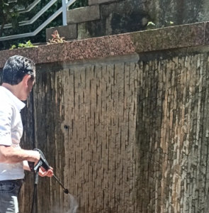 Schwarzes Moos an Gartenmauer