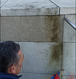 Moosbesatz wegen Feuchtigkeit